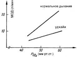 Процессы, коррелирующие с дыханием